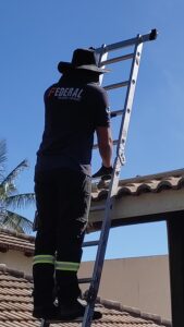 IMG_20240707_095553
